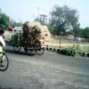 Rickshaw with hays - West Bengal
