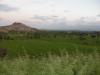 Long view of green fields, Gangavathi