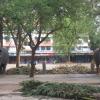 Elephants at Guruvayoor Temple, Thrissur