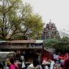 Temple in Busy Market, Habibpur