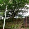 Steps Up to Jayanti Mata Shaktipeet, Hastinapur
