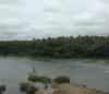 Greenery around Hemavathi River 