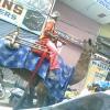 Camel Riding at Charminar Road, Hyderabad