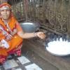 A Lady giving Food to rats at Karni Matha Temple