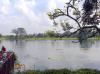 Large Pond before the Palace - Jalpaiguri