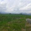 Grazing Land in Kallar, Thiruvananthapuram