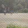 Kids enjoying playing cricket near Camp Road