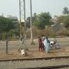 People Crossing Railway Track, Vellore