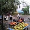Fruit Vendor, Khandwa