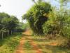 Greenary View of Khaupali, Orissa