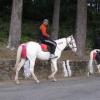 Horse Riding - Kodaikanal