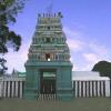 Kurinji Andavar Temple at Kodaikanal