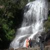 Bear Shola Falls in Kodaikanal