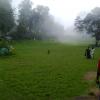 Mist at Bryant park in Kodaikanal