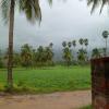 Scene of nature viewed from a house in kerala