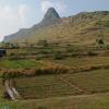 foothill farming near kopargaon