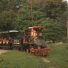 Toy Train at a park in Kota