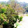 A Glance at the beauty of Nature at Kotdwara
