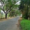 A roadway to Taj resorts - kumarakom