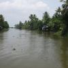 Backwaters  - Vembanad lake - kumarakom