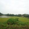 Kumarakom Landscape - Kerala