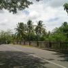 Road Near to Kumarakom Boat Jetty