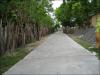 Cement Road in Lakshadweep