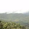 Top view of Coorg hills