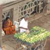 Fruit Vendor in Madurai
