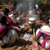 Pongal festival - Madurai