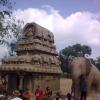Nakula Sahadeva ratha at Mahabalipuram