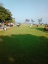 Green grass land at Mahabalipuram