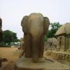 Elephant Statue in Mahabalipuram