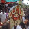 Goddess Getting back to Temple After Thiruvizha Function