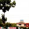 NKBR College Of Pharmacy at Phaphunda, Meerut