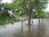 Passengers standing under the tree on a rainy day - Melmaruvathur