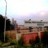 Central Potato Research Institute in Meerut