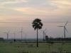 Windmills near  Munnar - Idukki