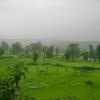 Greenery View  at Munnar, Idukki