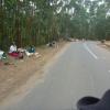Road Trip in Munnar