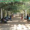 People relaxing under the trees in Mysore Zoo
