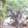 A road from Padmanabhapuram to Mathoor
