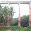 Kanyakumari district Mathur thottipalam near Nagercoil