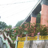 Stairways to Mathur Hanging Bridge near Nagercoil