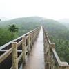 Walking place at Mathur Aqueduct near Nagercoil
