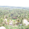 River and trees view from Mathur Thottipalam at Kanyakumari district