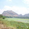 Kottaram Achankulam area Lotus pond view