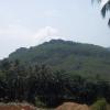 Greenery near Nagarcoil