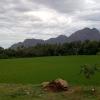 Green Paddy field, Nagercoil