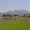 Puthery pond near Nagercoil